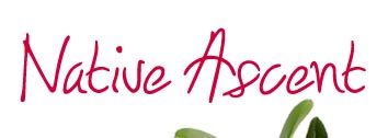 Native ascent logo