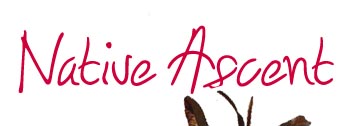 Native ascent logo