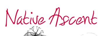 Native ascent logo